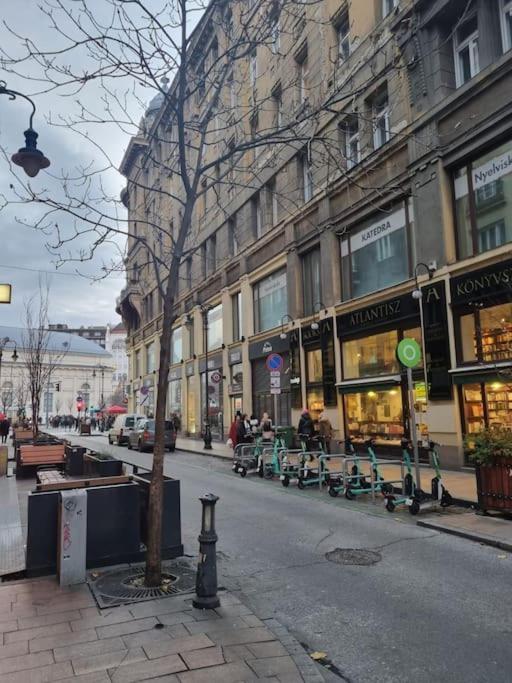 Ferienwohnung Danube Dwelling Asboth 19-1 Budapest Exterior foto